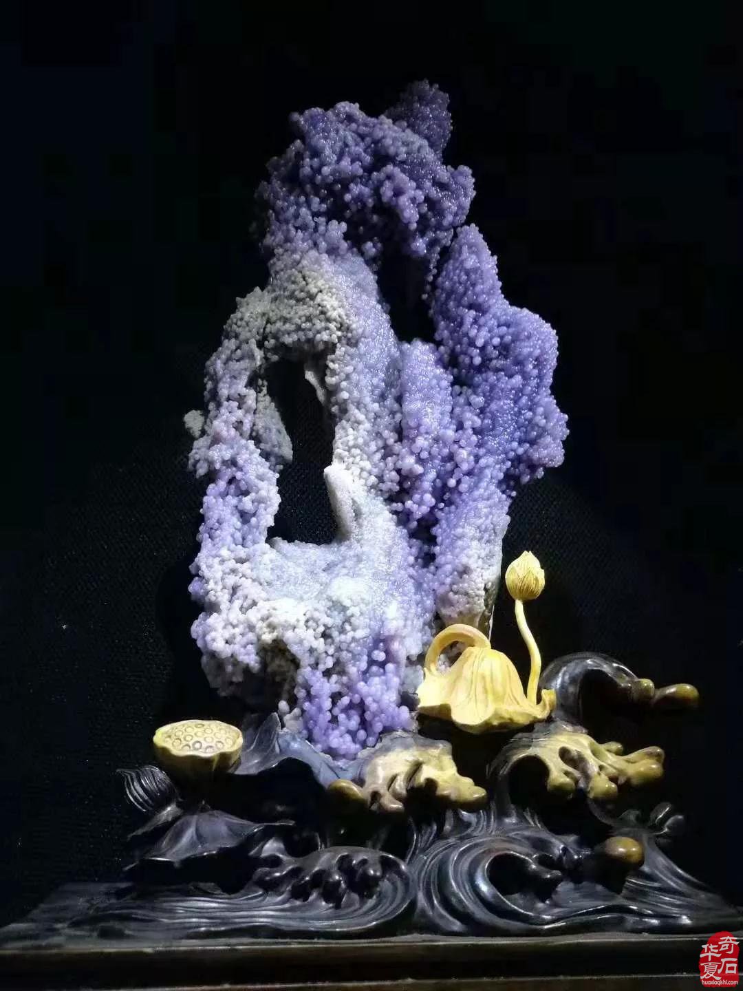 2021·中国·天津 第二届荣大花卉905观赏石 展销会