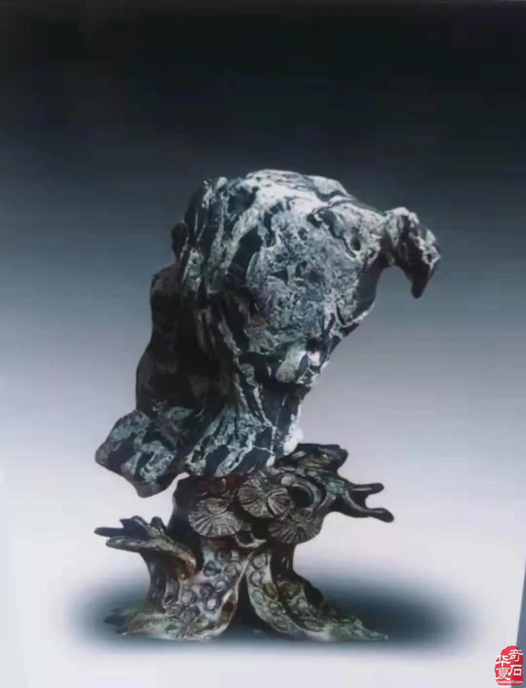 2021·中国·天津 第二届荣大花卉905观赏石 展销会