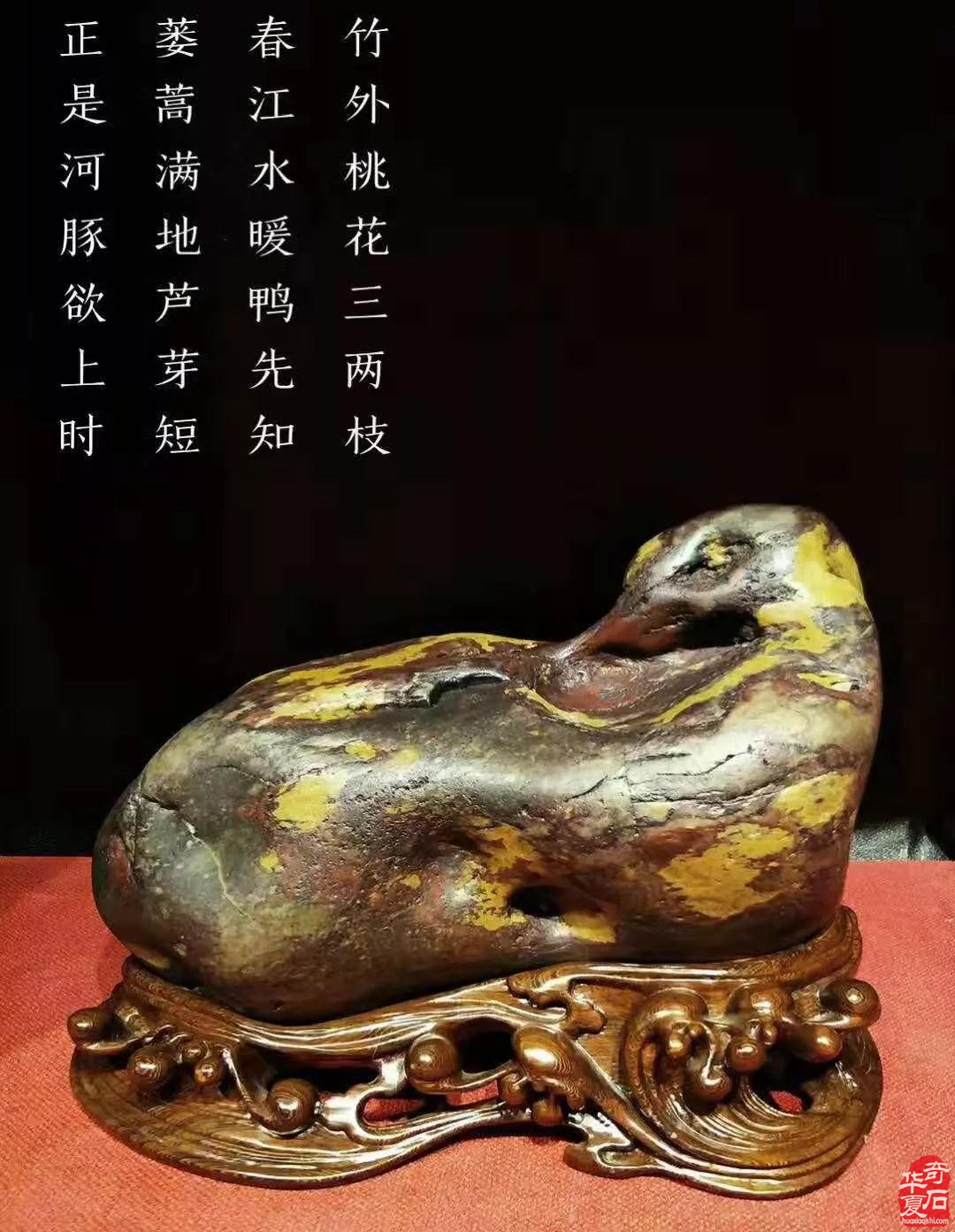 2021·中国·天津 第二届荣大花卉905观赏石 展销会
