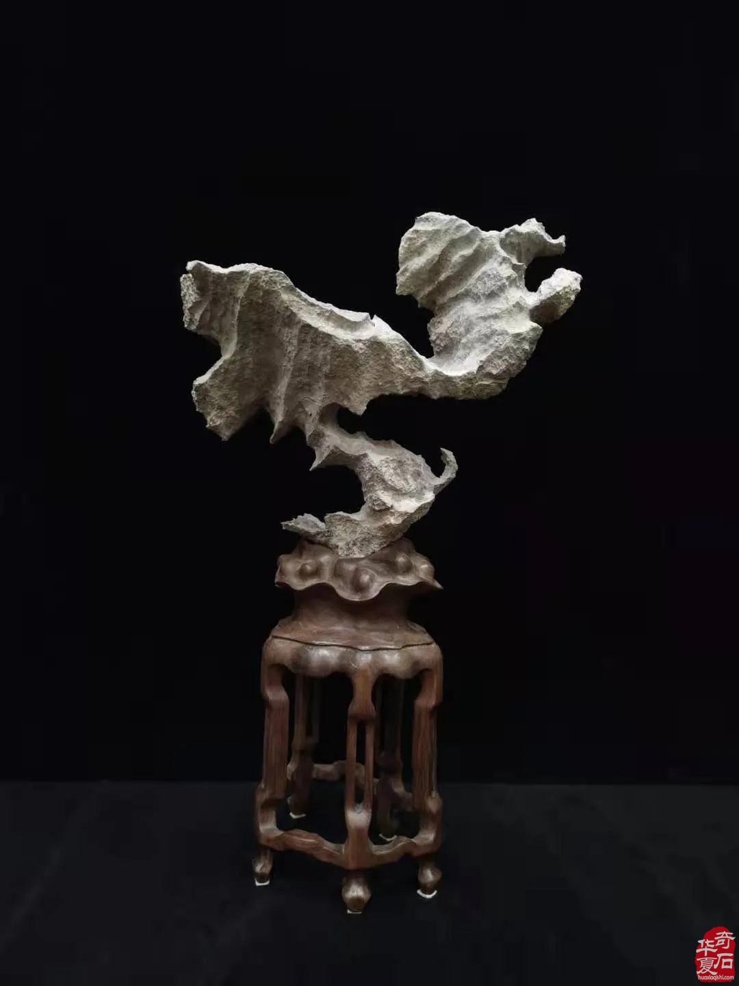 2021·中国·天津 第二届荣大花卉905观赏石 展销会