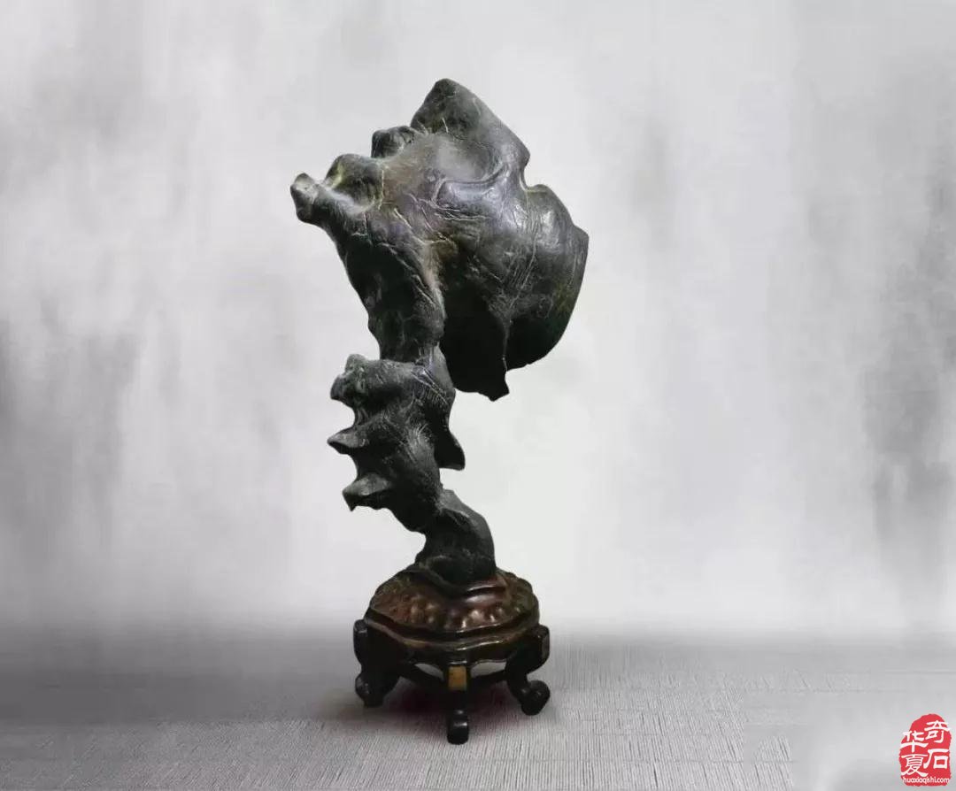 2021·中国·天津 第二届荣大花卉905观赏石 展销会