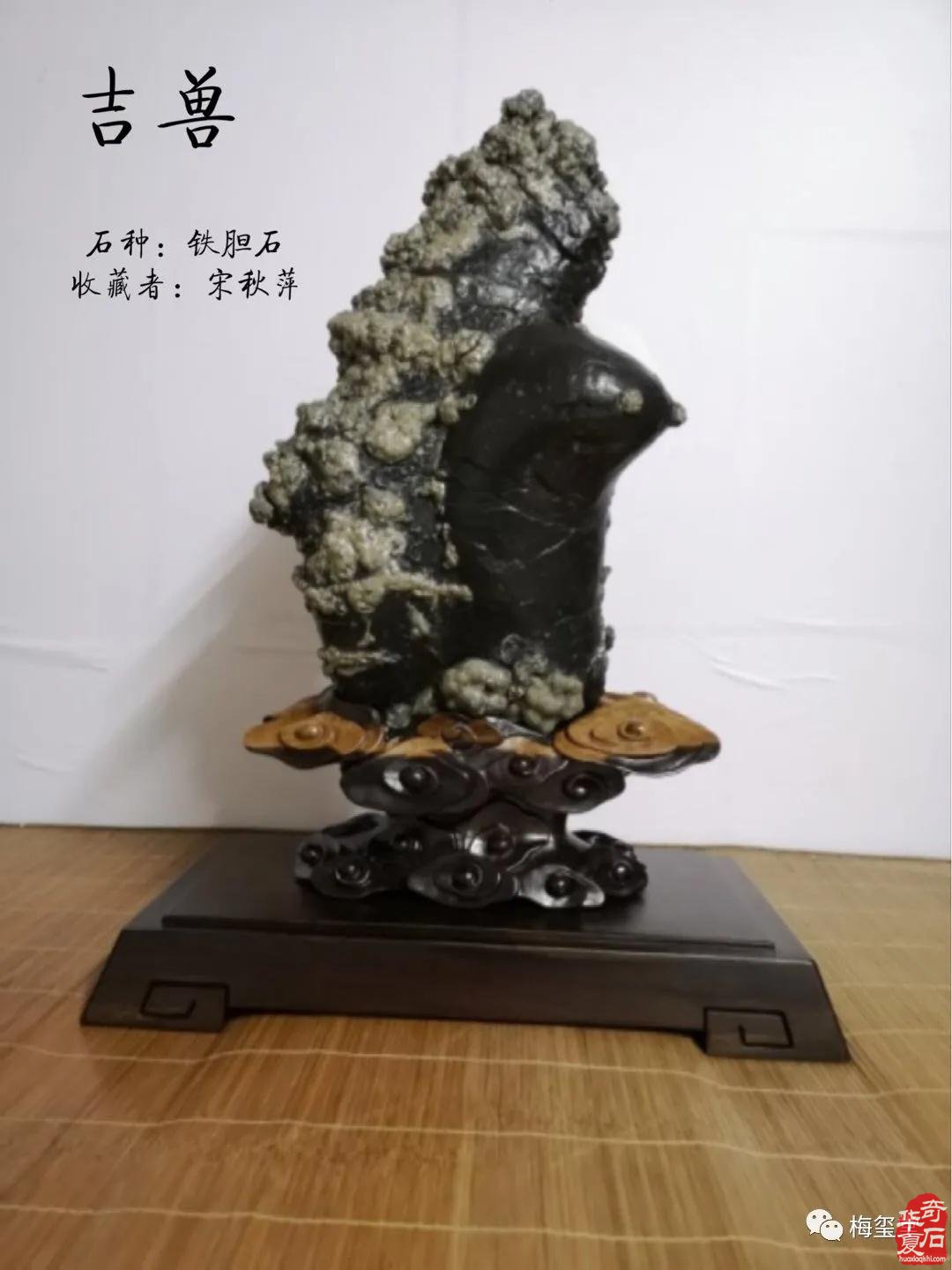 梅玺堂//全国奇石免费展示（第90期节选）