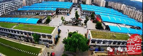 建党百年 文化礼赞