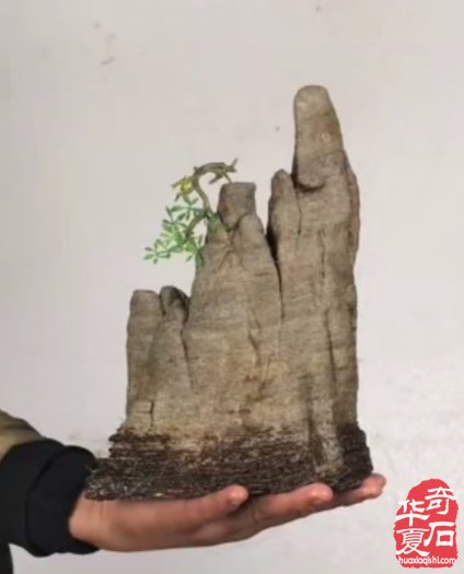 妙哉一一太行山景石手托江山(四)