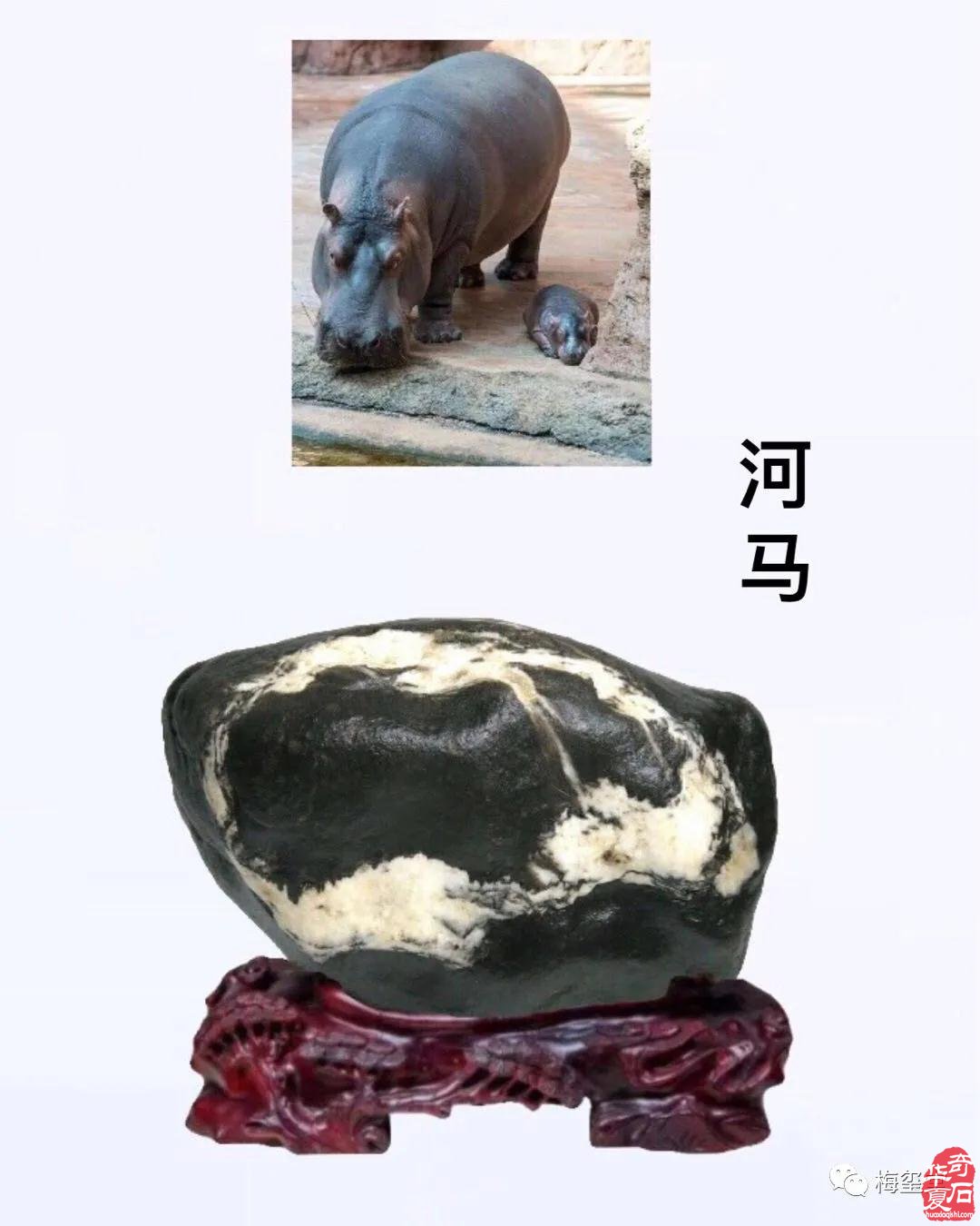 梅玺堂//全国奇石免费展示（第91期）