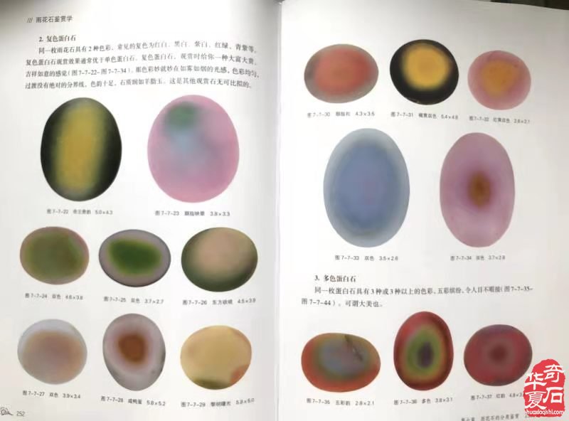 十年磨一剑 藏石笔耕双丰收 图