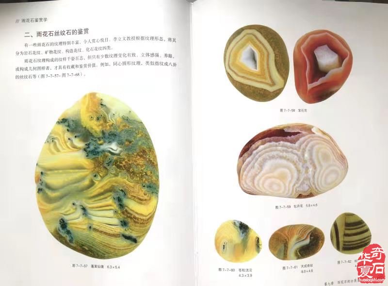 十年磨一剑 藏石笔耕双丰收 图