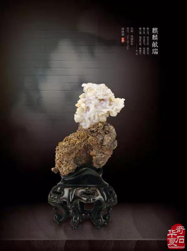 9月18日天津荣大花卉观赏石展销会将隆重开幕