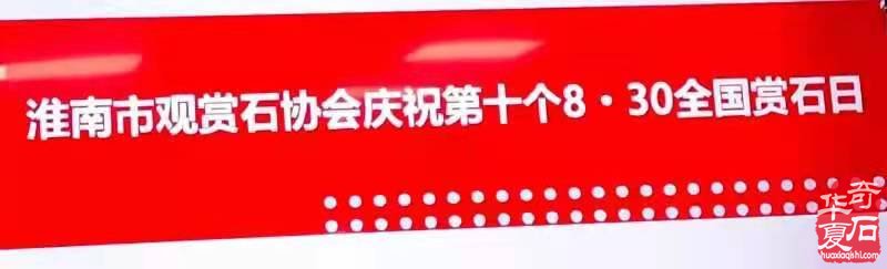 淮南市观赏石协会开展第十个全国8.30赏石日活动