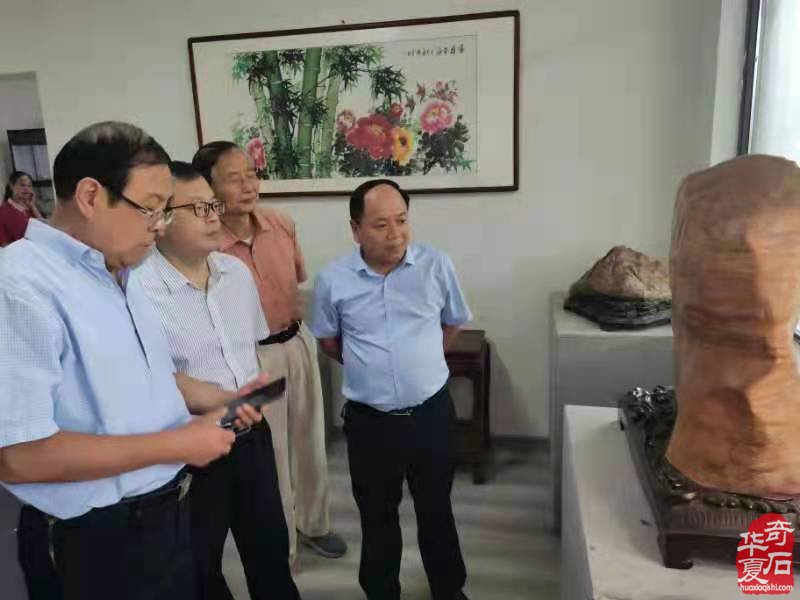 淮南市观赏石协会开展第十个全国8.30赏石日活动