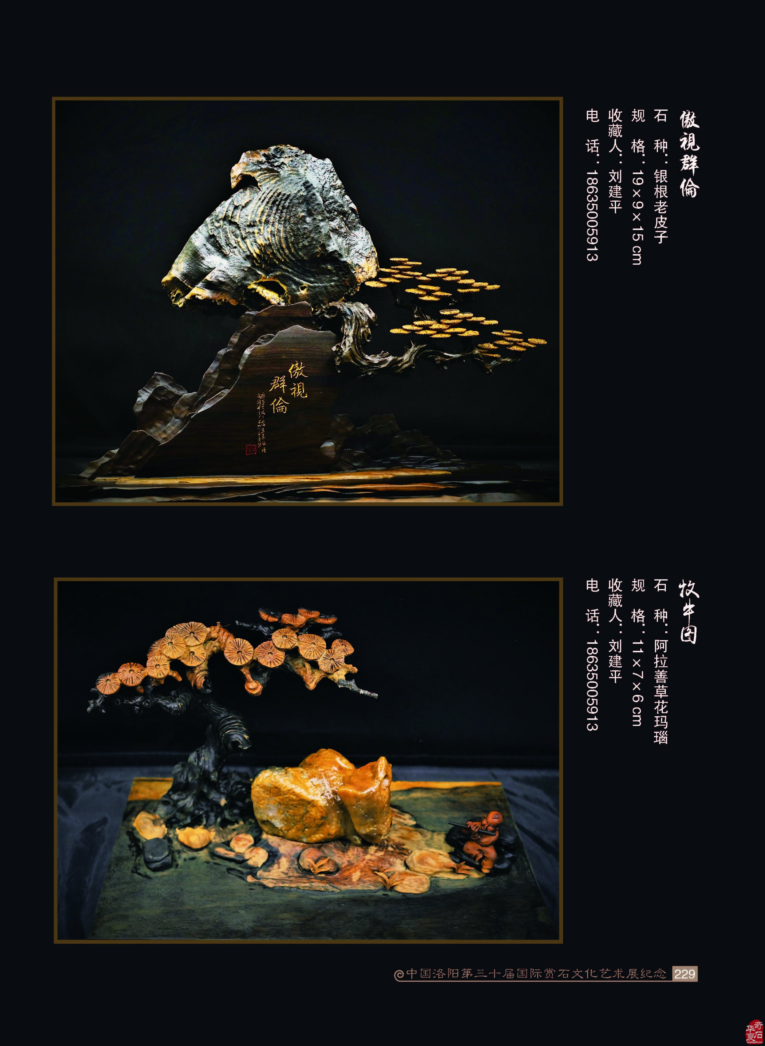奇石一定都是美的 ——兼谈奇石之美来源 图