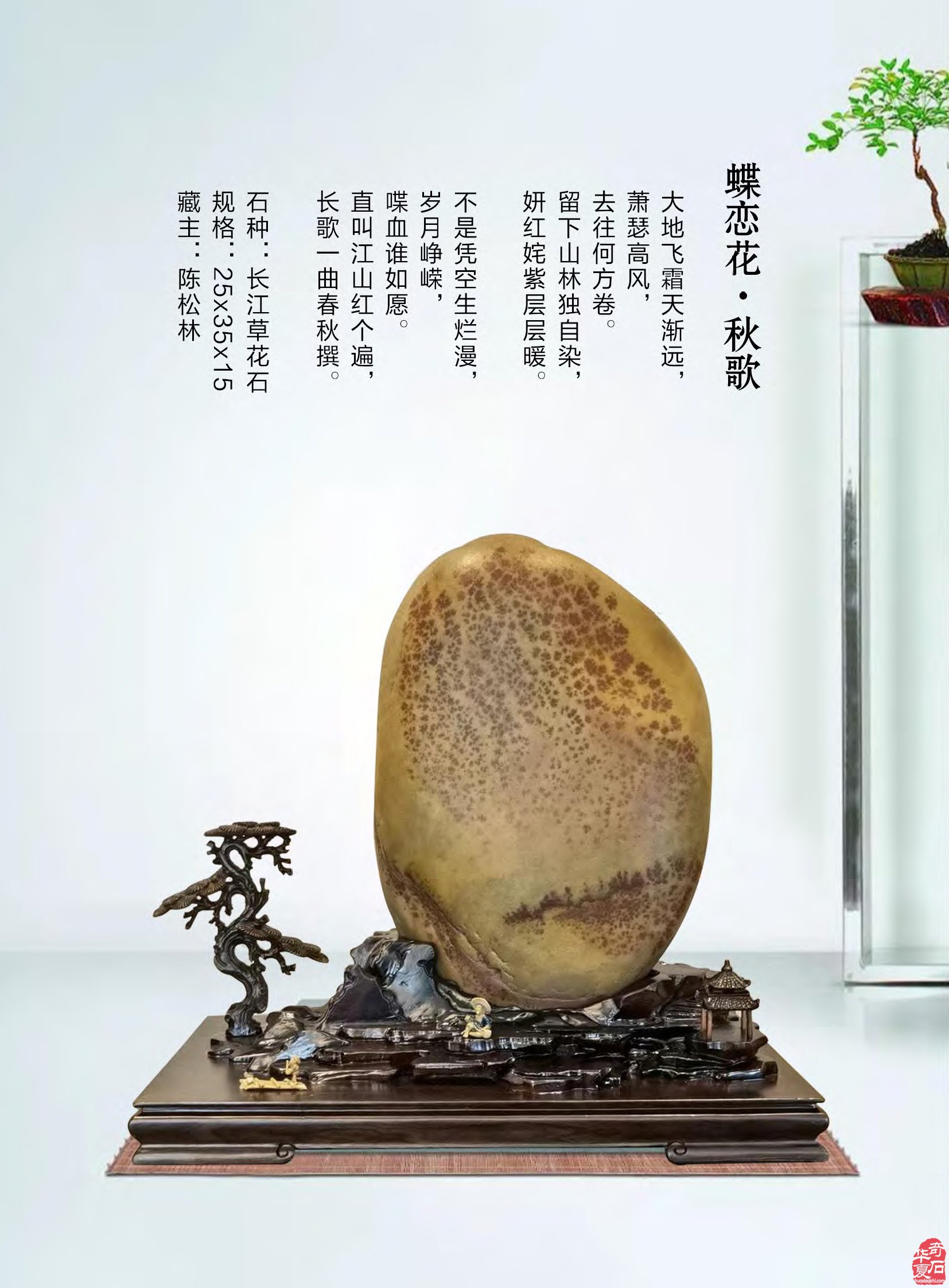 《于公赏石》第九期上线中秋佳节献礼