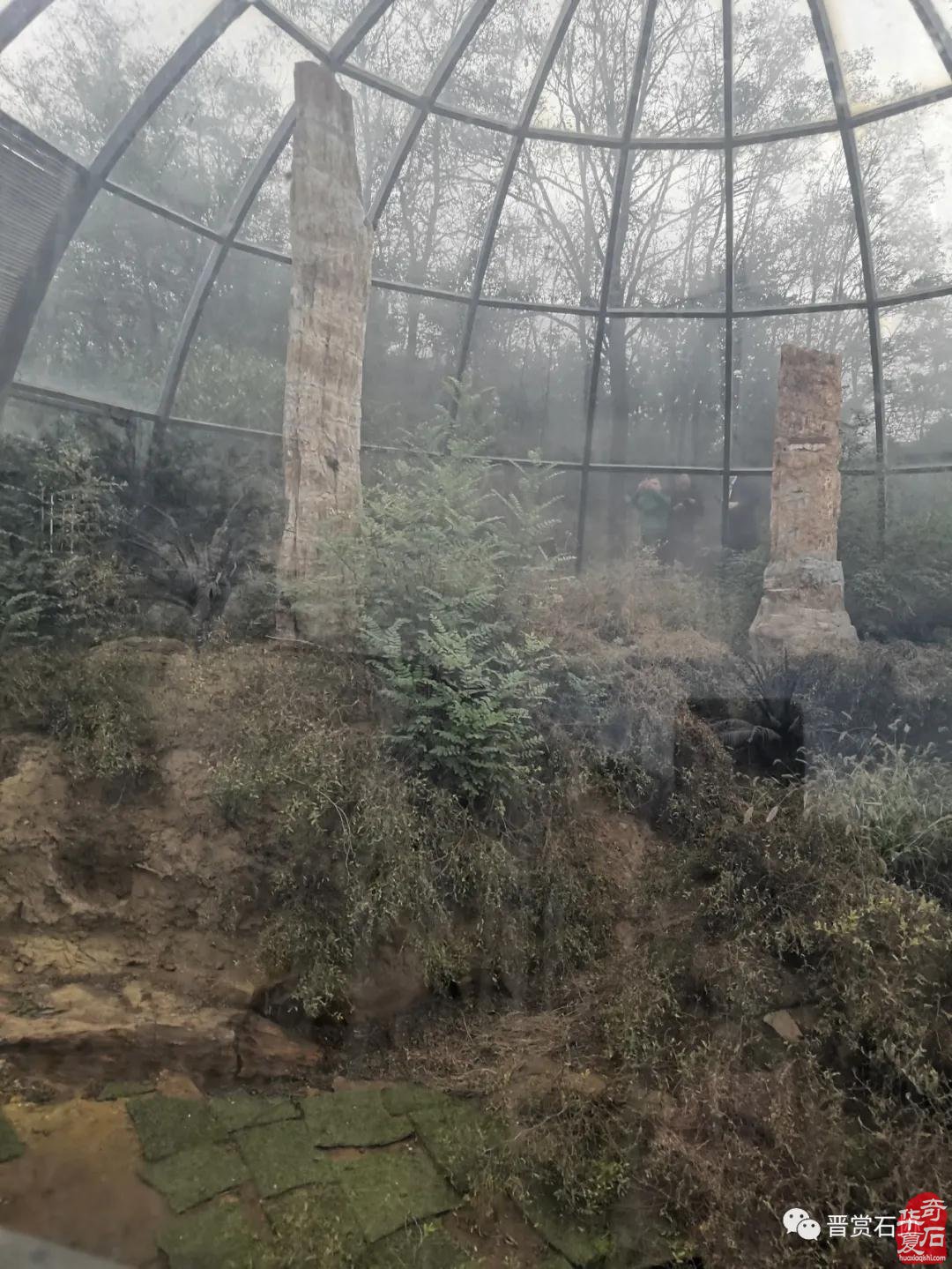 山西省观赏石协会组团参加旅发大会获得成功