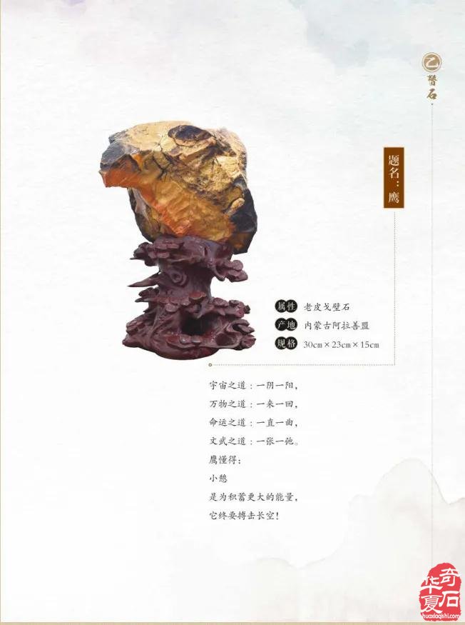 冯玉璞院长参加石嘴山市“赏石日”活动并赠书