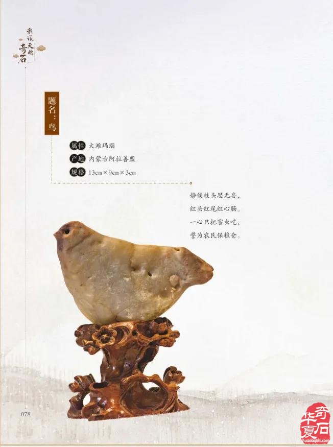 冯玉璞院长参加石嘴山市“赏石日”活动并赠书