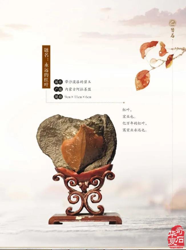 冯玉璞院长参加石嘴山市“赏石日”活动并赠书