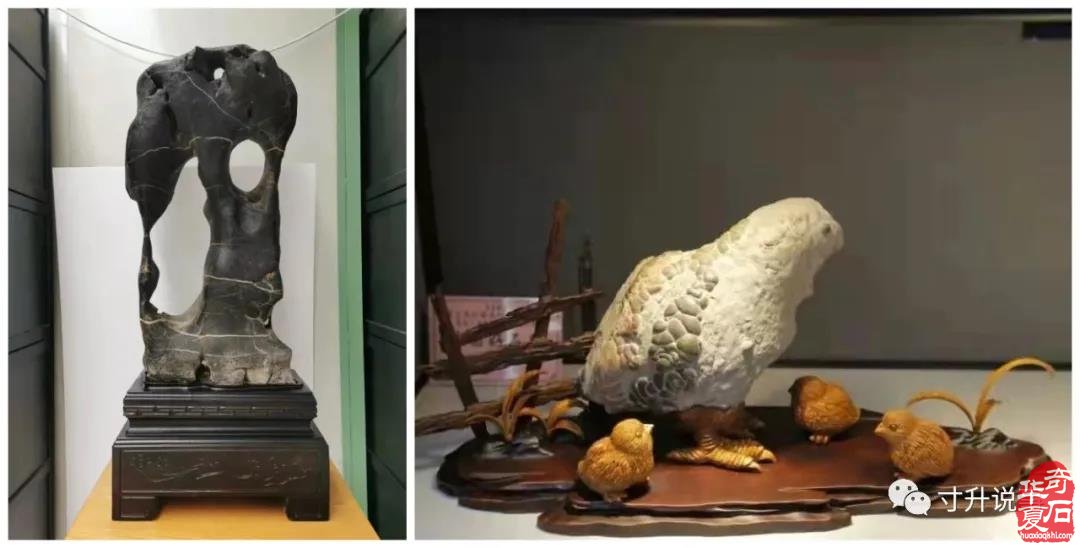 《寸升说事》天晴了，祝愿杭石展展销转旺