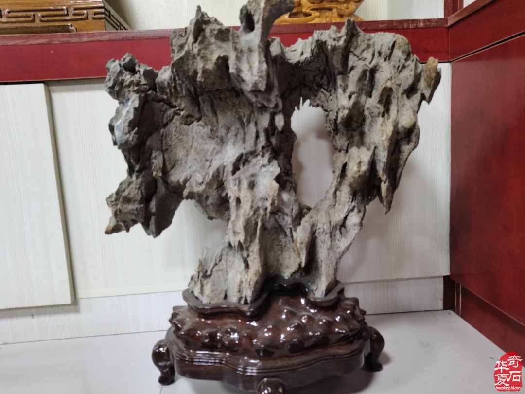 集思广益群策群力共谋赏石文化及产业发展