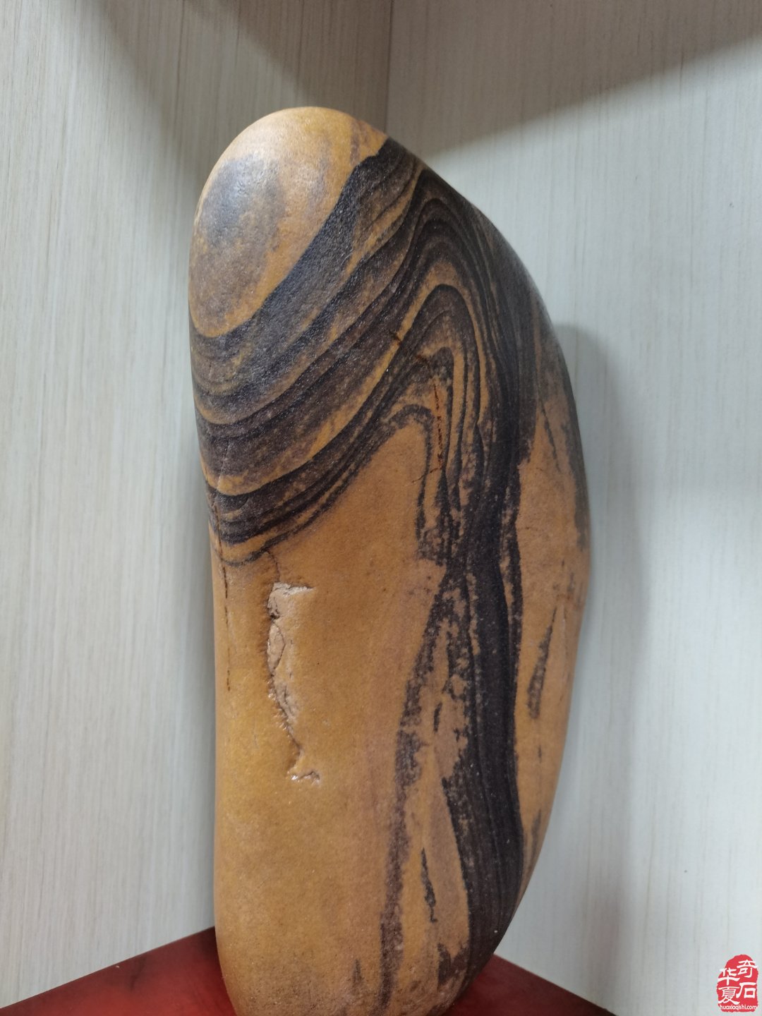集思广益群策群力共谋赏石文化及产业发展