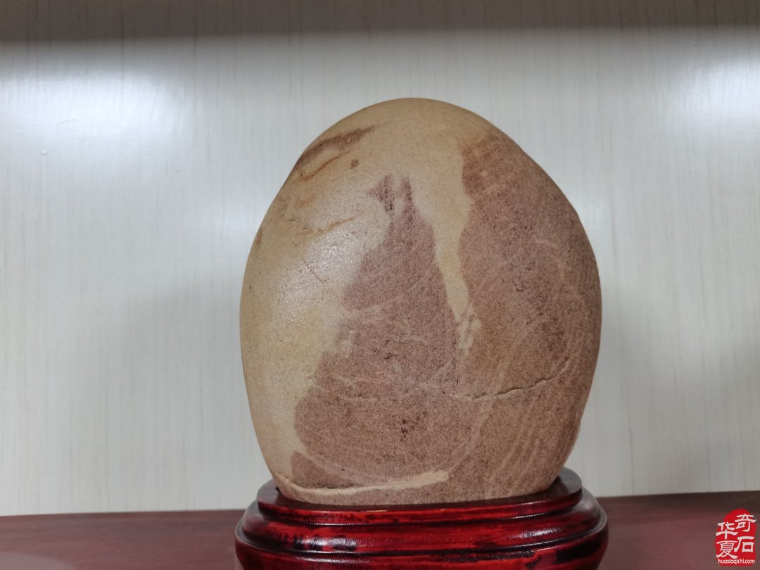 集思广益群策群力共谋赏石文化及产业发展