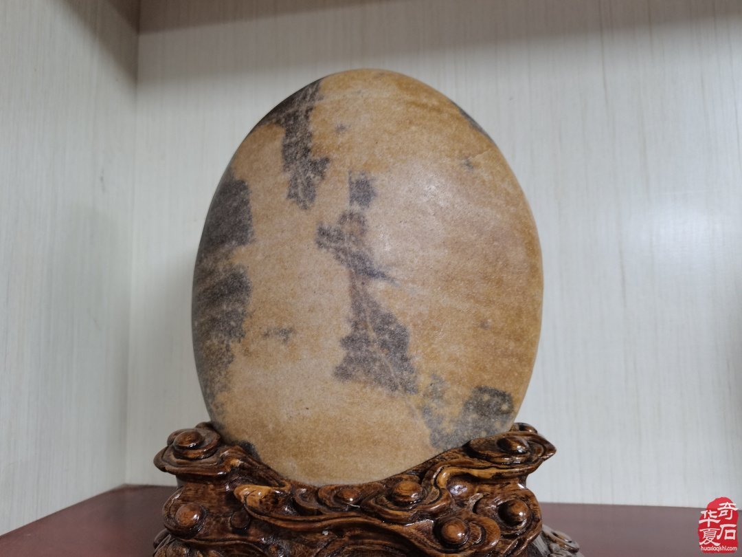 集思广益群策群力共谋赏石文化及产业发展