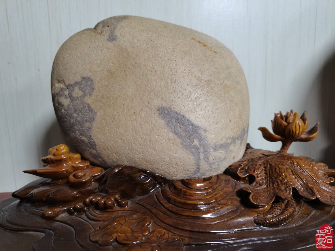 集思广益群策群力共谋赏石文化及产业发展