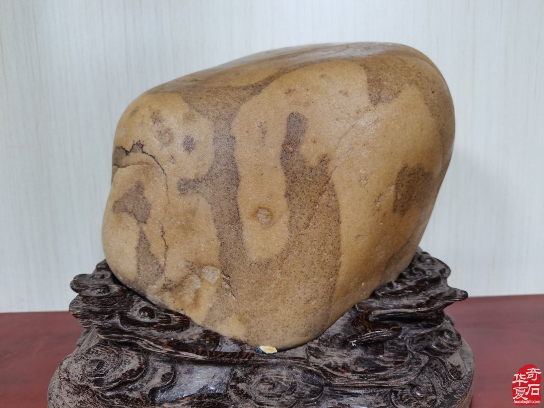 集思广益群策群力共谋赏石文化及产业发展