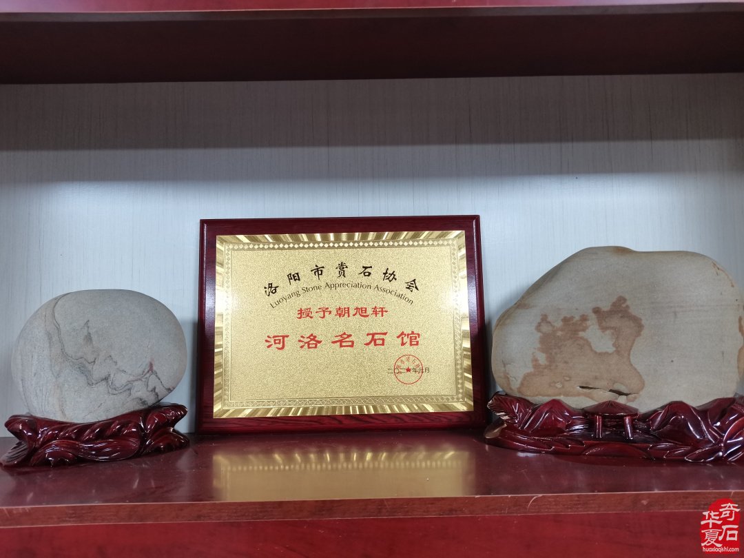 集思广益群策群力共谋赏石文化及产业发展