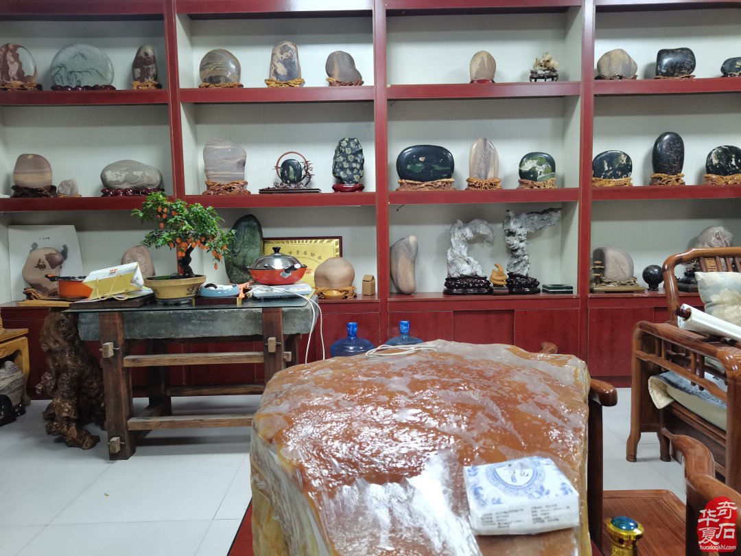 集思广益群策群力共谋赏石文化及产业发展