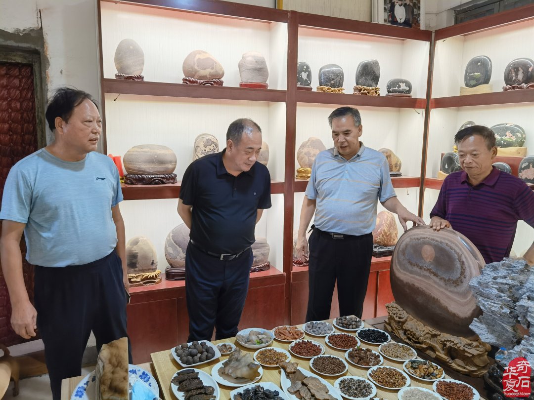 集思广益群策群力共谋赏石文化及产业发展
