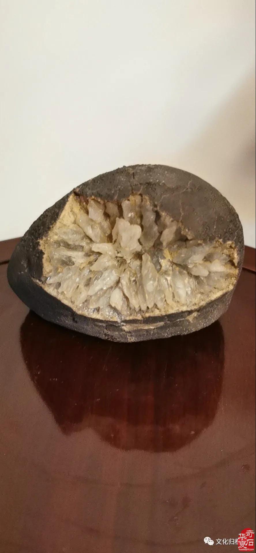 边赏石边探索中国文化的核心究竟是什么？