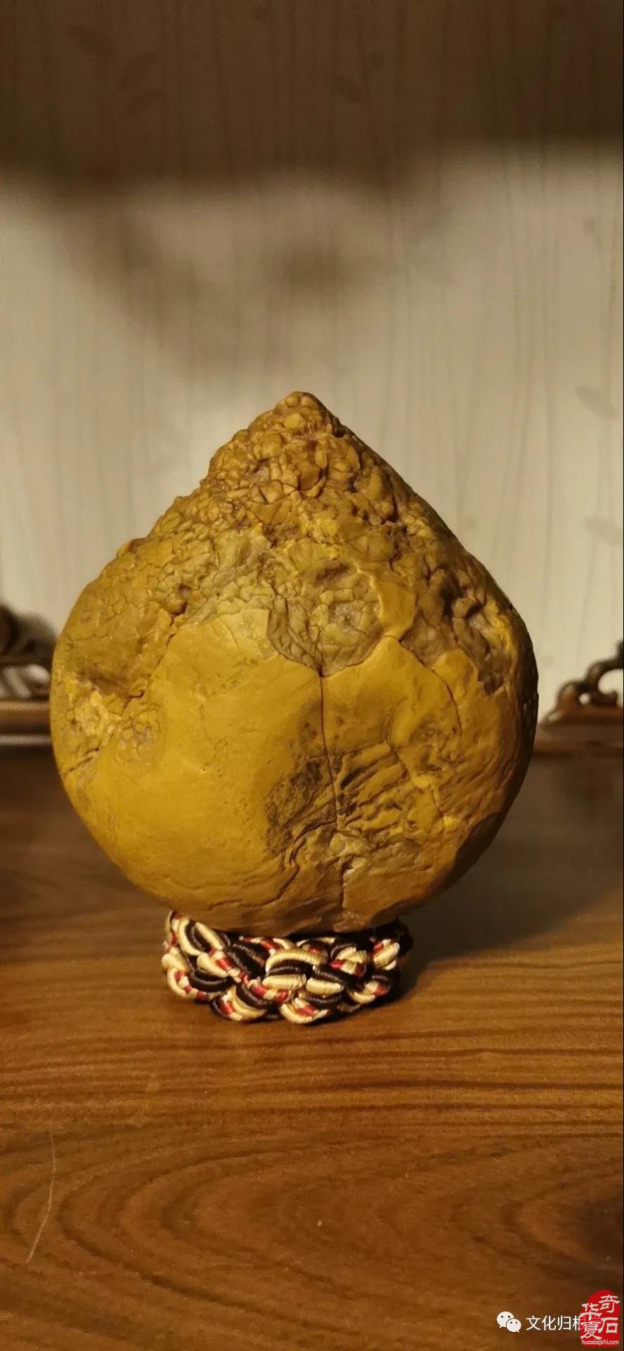 边赏石边探索中国文化的核心究竟是什么？