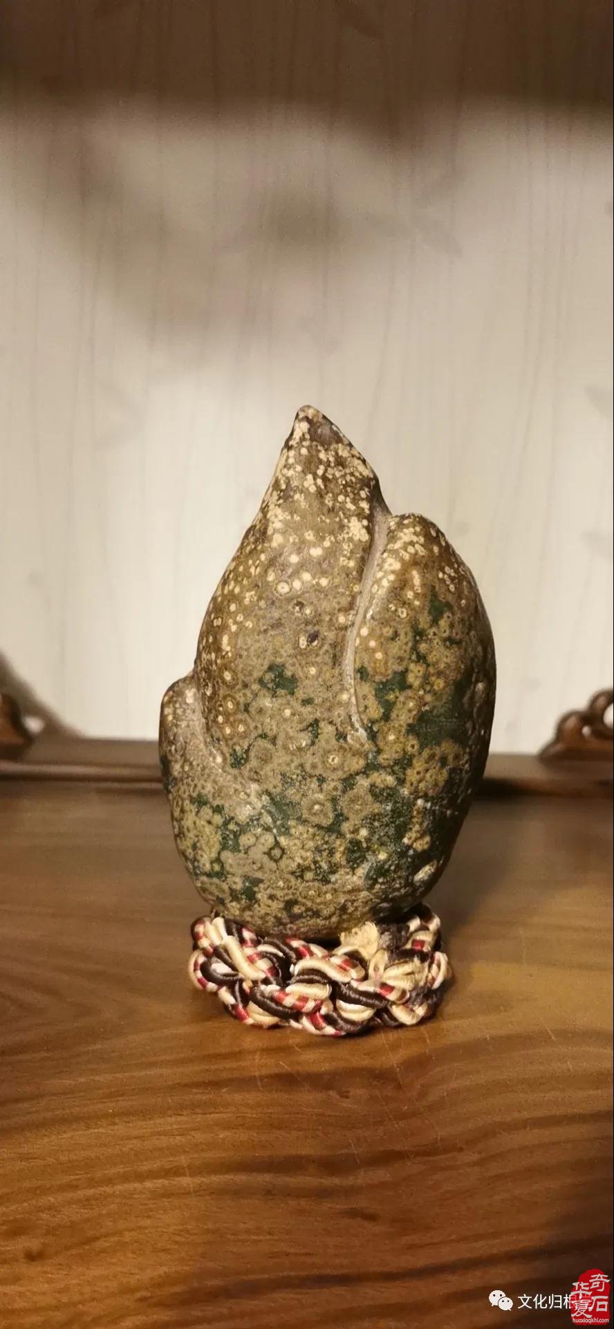 边赏石边探索中国文化的核心究竟是什么？