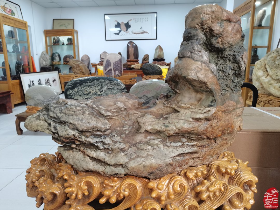 洛阳奇石古玩文化城中的《辛成奇石博物馆》