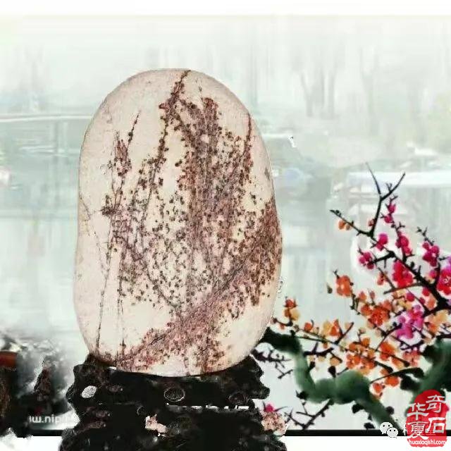 梅玺堂//全国奇石免费展示（第94期）