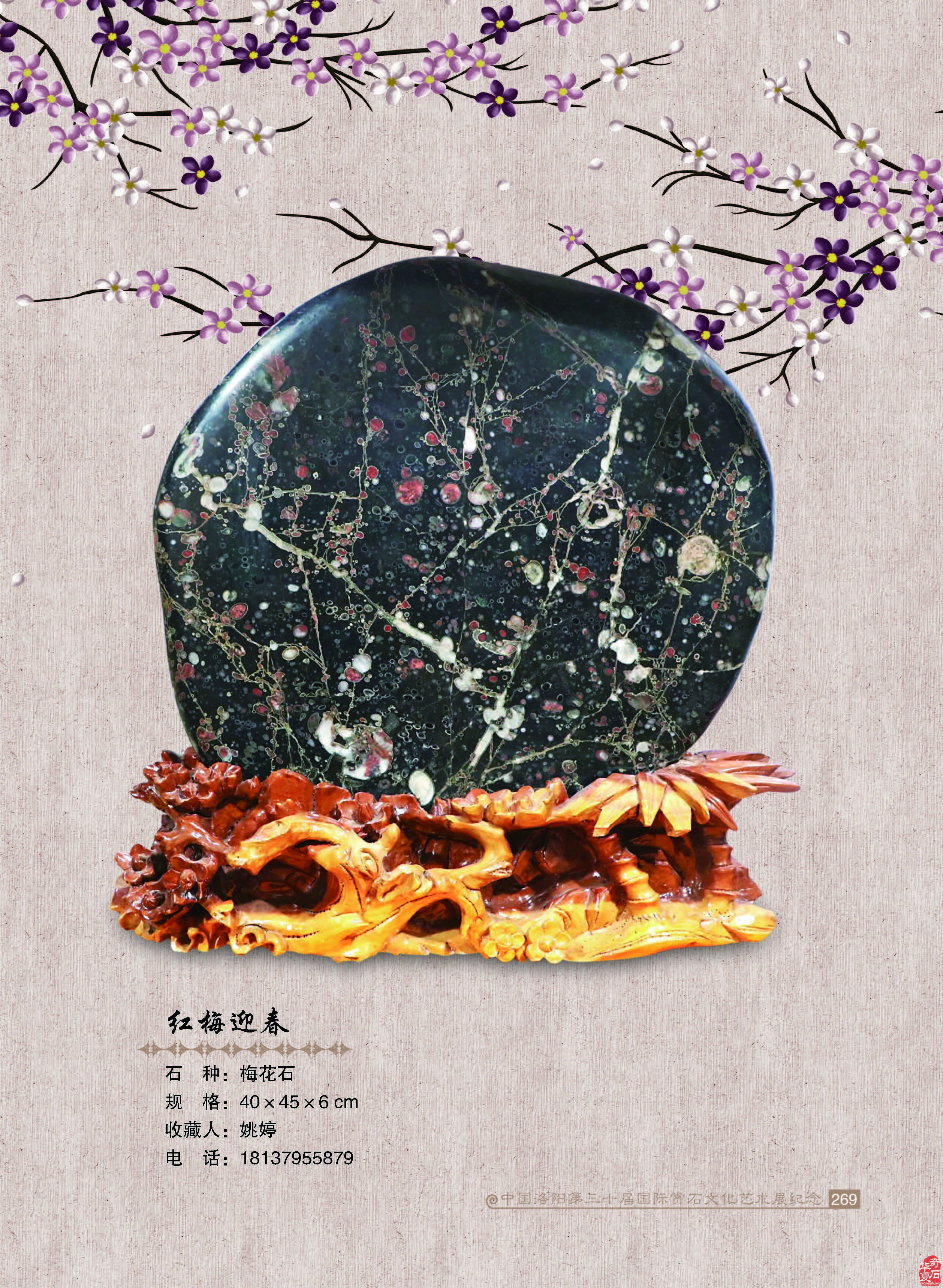 如何推动赏石文化发展攻略之我见