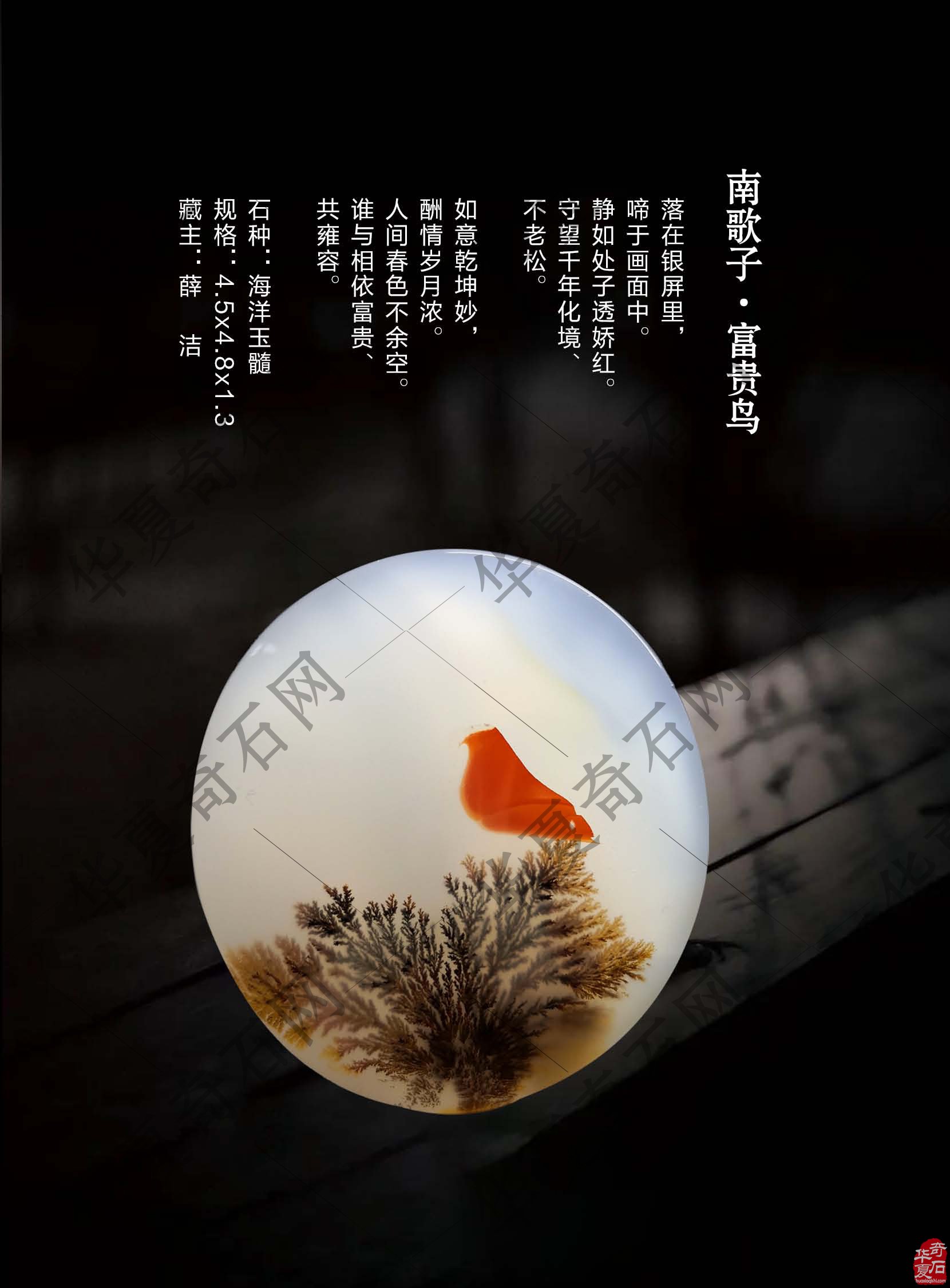 又上线了 新版《于公赏石》杂志与石友见面