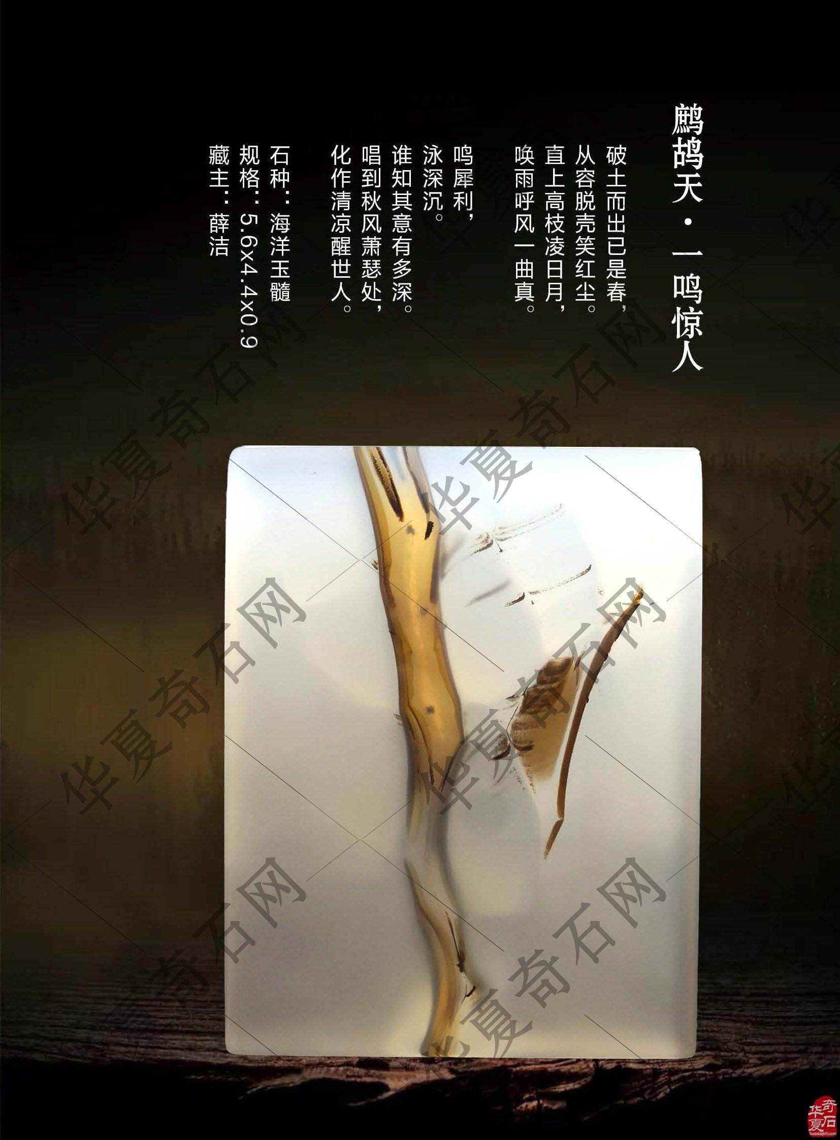 又上线了 新版《于公赏石》杂志与石友见面