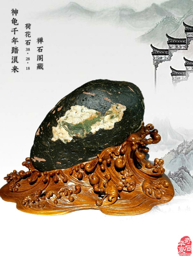 透着浓浓禅意的美石藏品也很有味道