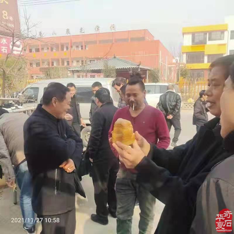 平顶山市鲁山肉石拍卖会取得圆满成功(图)