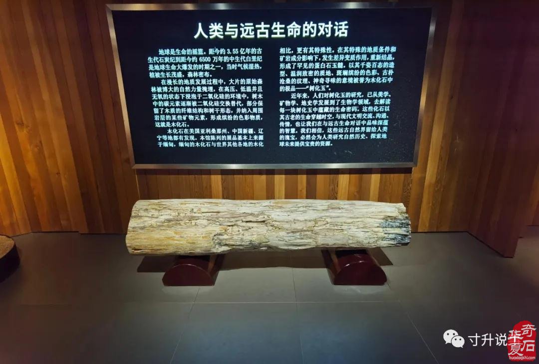精美的石头会唱歌（图）