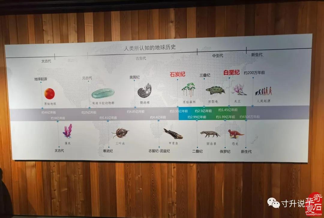 精美的石头会唱歌（图）