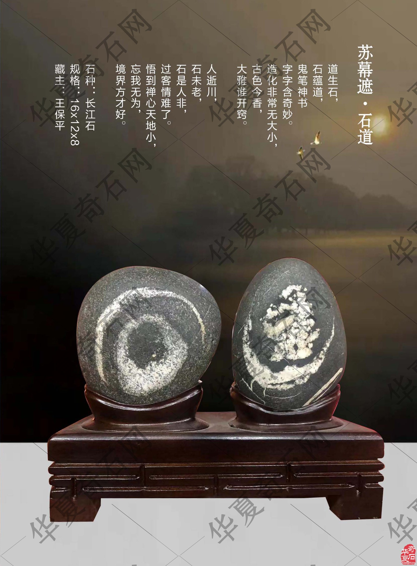赏名人名家美石看《于公赏石》怎么说