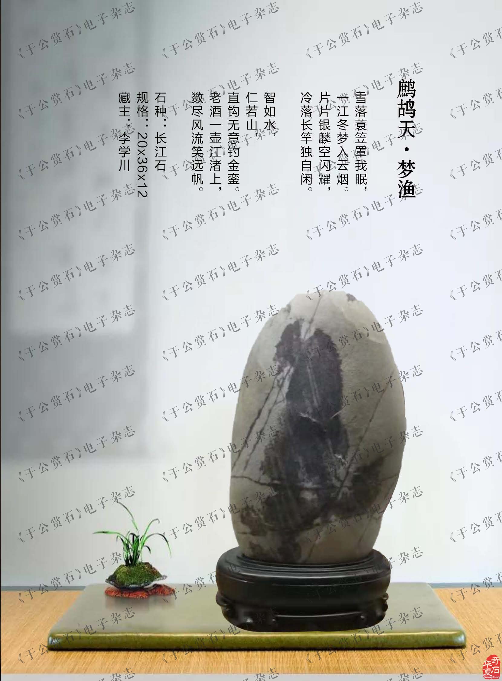 《于公赏石》刊发的企业家汤辉藏石欣赏