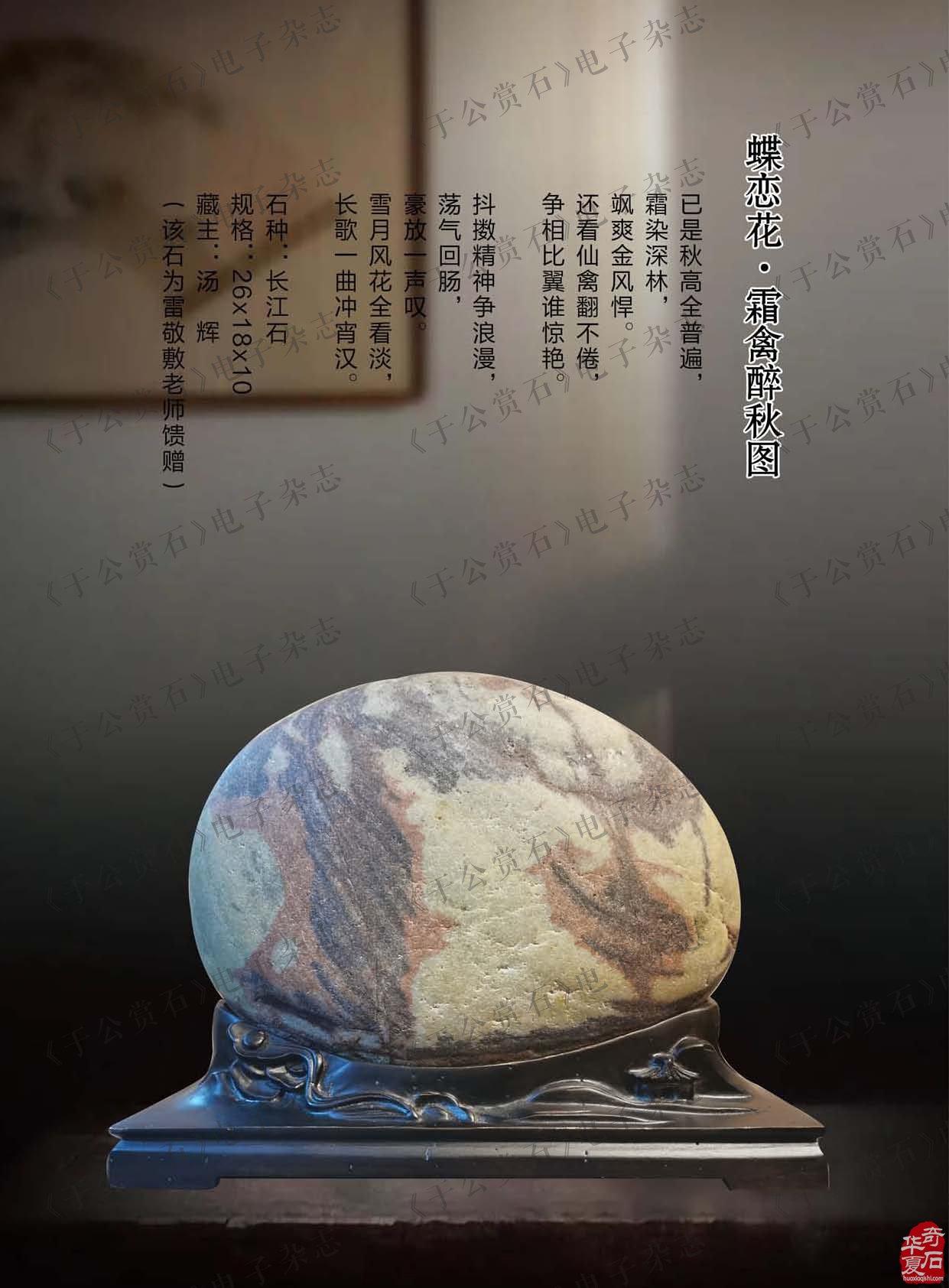 《于公赏石》刊发的企业家汤辉藏石欣赏