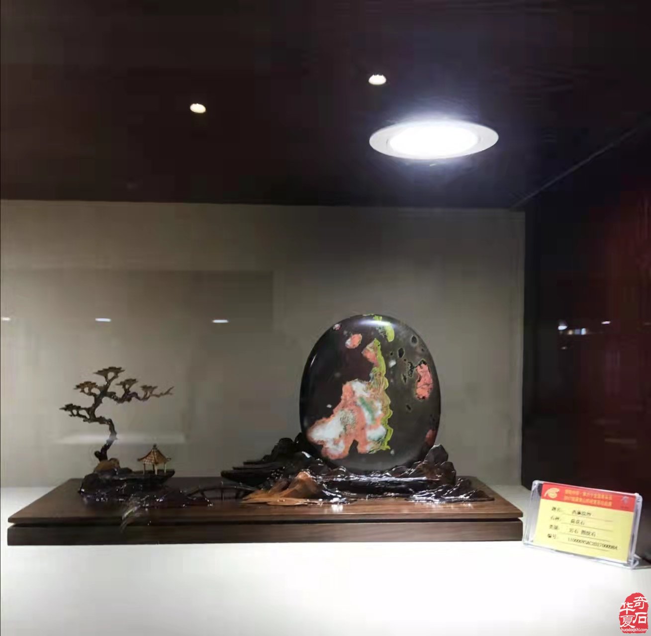 热烈祝贺徐胜利当选汝阳观赏石协会会长 图