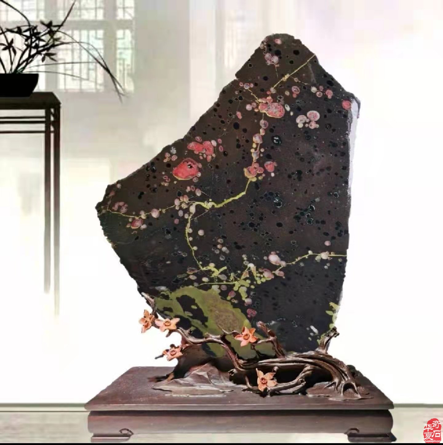 热烈祝贺徐胜利当选汝阳观赏石协会会长 图