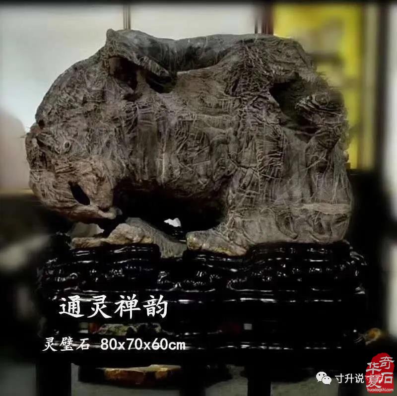 《寸升说事》名士陈绍卫与名石“通灵禅韵”