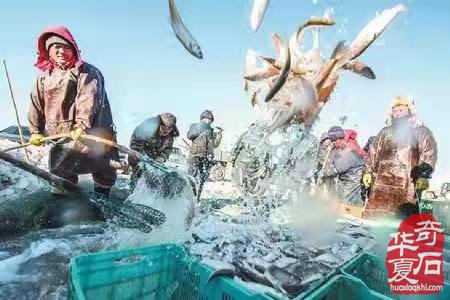 来自福海的赏石盛情邀请，您能赴约吗？