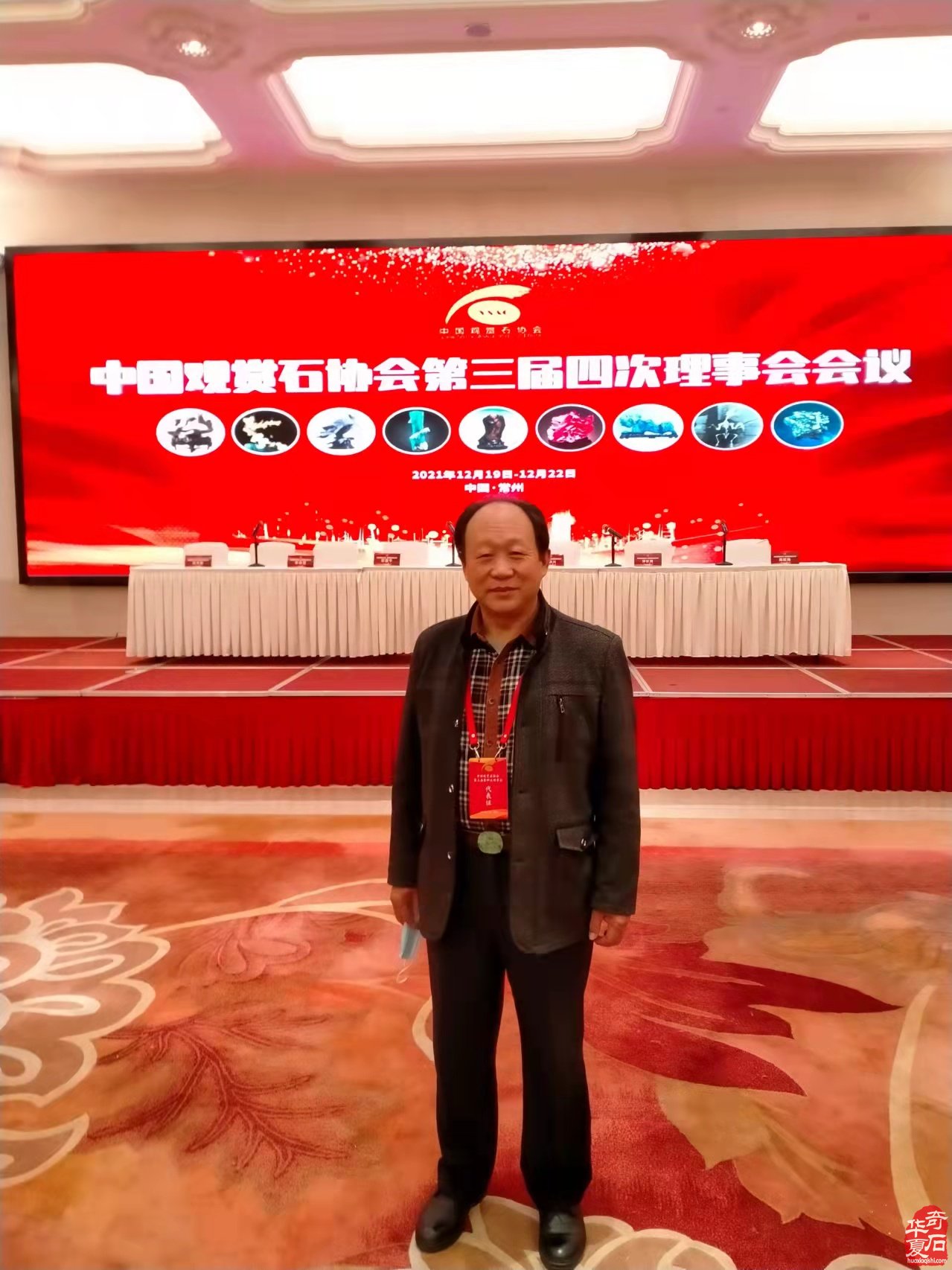 每日一石:欣赏戈壁玛瑙花石《白天鹅》 图
